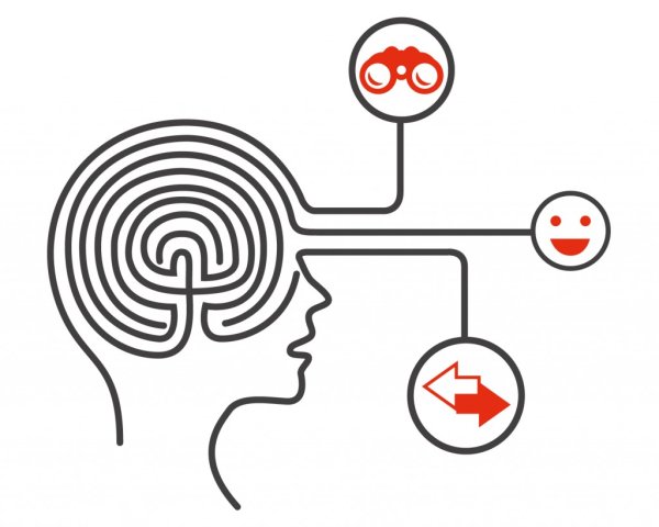 Мозг знания