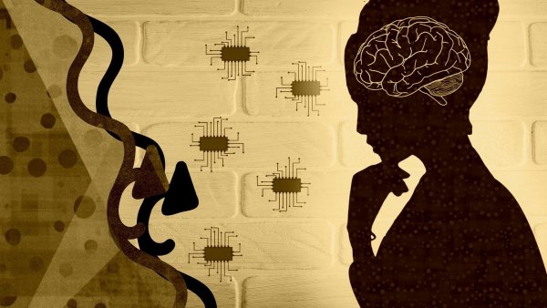 Развитый мозг