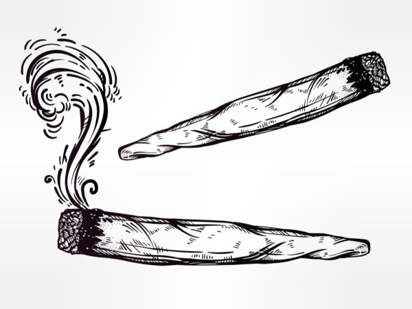 Блант нарисованный