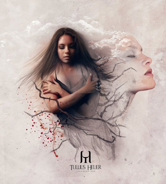 Туллиус Хейер