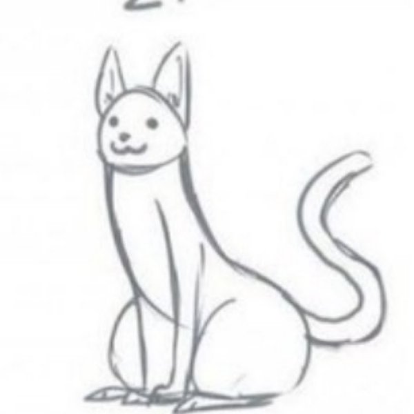 Рисунок из члена