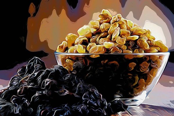 Изюм рисунок вектор