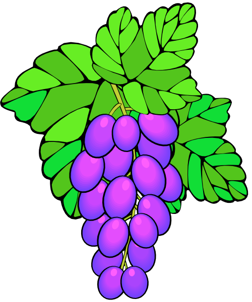 Виноград с глазками