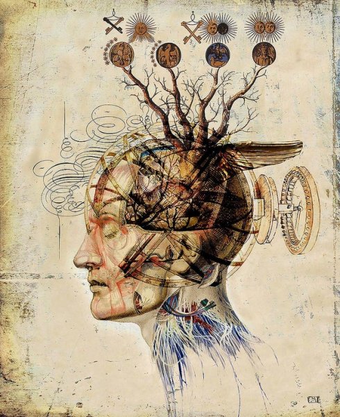 Когнитивные искажения рисунок