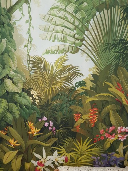 Джангл Джангл