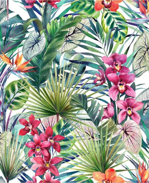 Тропические листья и цветы