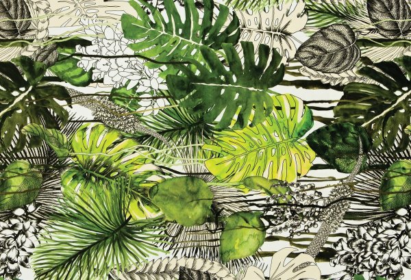 Апплико фреска листья папоротника