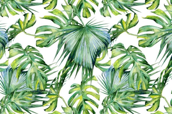 Cercom тропические листья