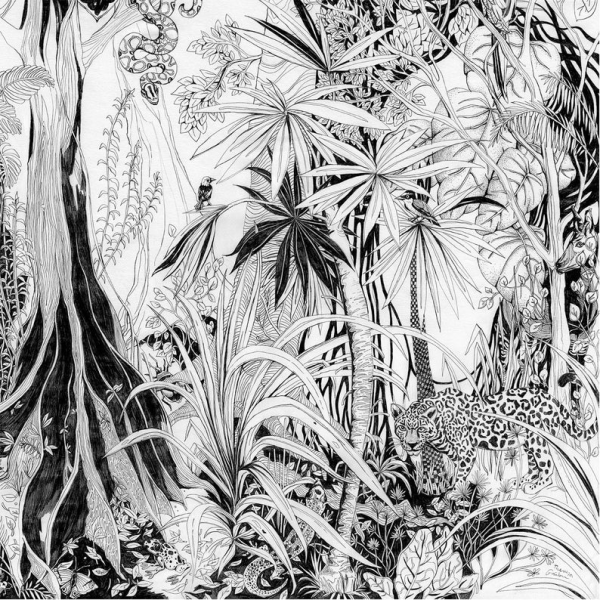 Тропики Графика