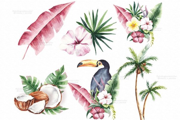 Тропические цветы акварель