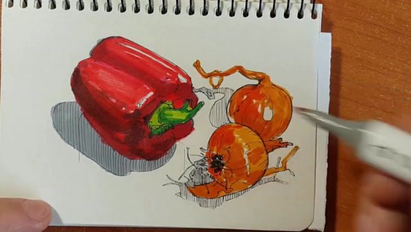 Скетчинг перец