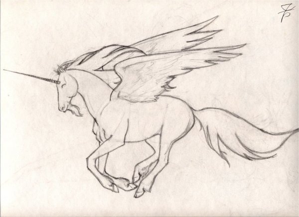 Рисунки простым карандашом животные