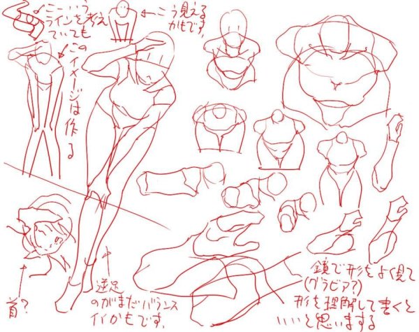 Реыференсы анатомия аниме