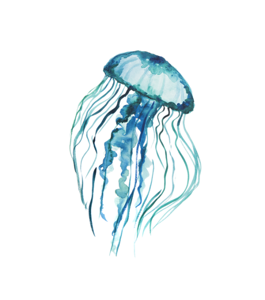 Медуза корнерот строение