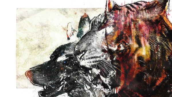 Собака абстракция