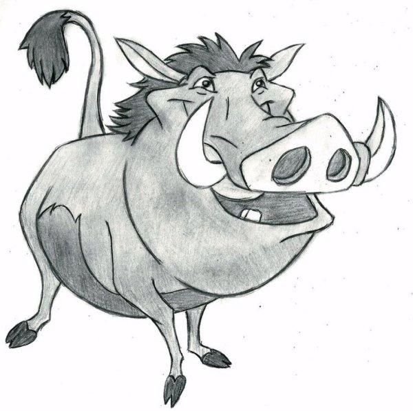 Тимон и Пумба раскраска