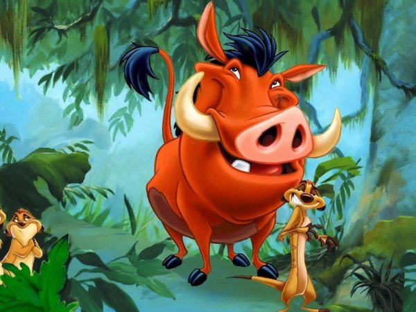 Герои мультика Тимон и Пумба