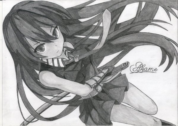 Убийца акаме акаме