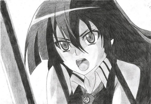 Убийца акаме акаме