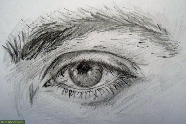 Глаза для рисования карандашом