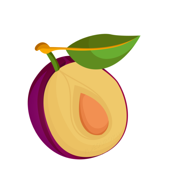 Груша костянка