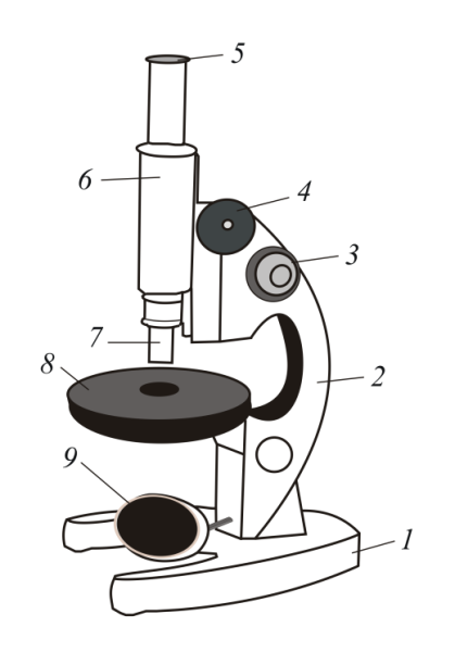 Микроскоп Биолан строение
