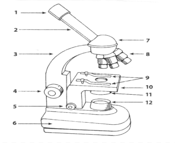 Зарисовать строение микроскопа