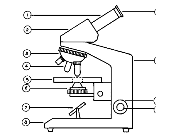 Микроскоп схематически
