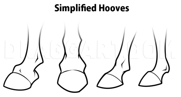 Копыто рисунок