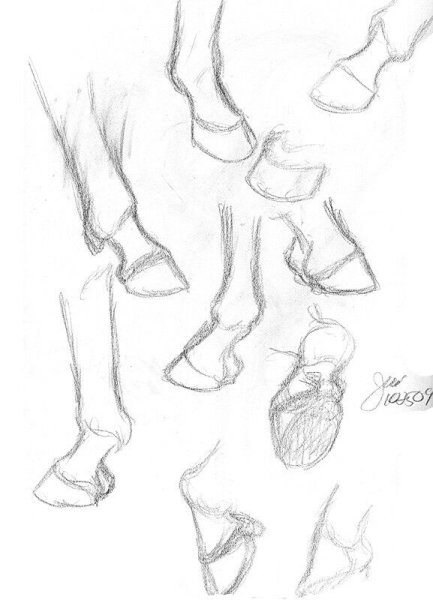 Копыта референс