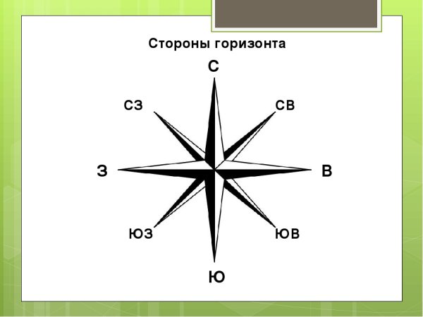Направления Север Юг Запад Восток