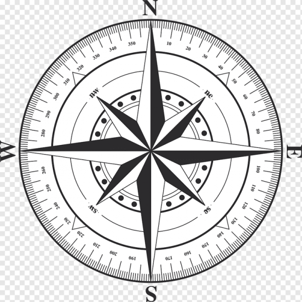 Компасная картушка