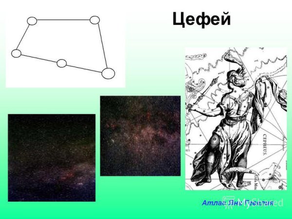 Фотографию созвездия Цефей
