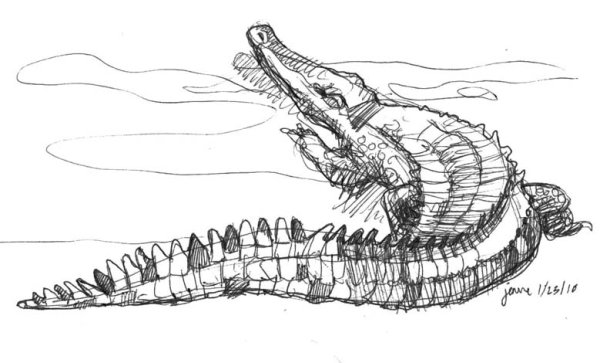 Крокодил скетч