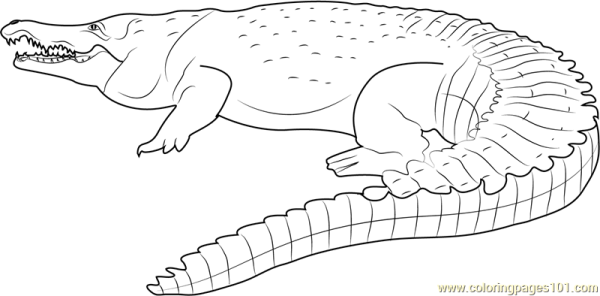 Крокодил раскраска для детей