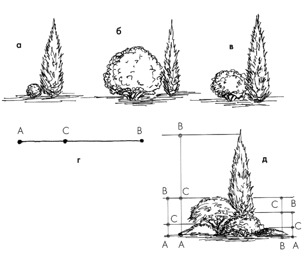 Золотое сечение в ландшафтном дизайне