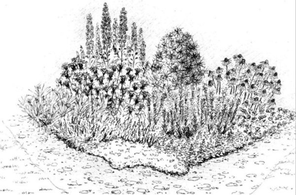 Клумба набросок