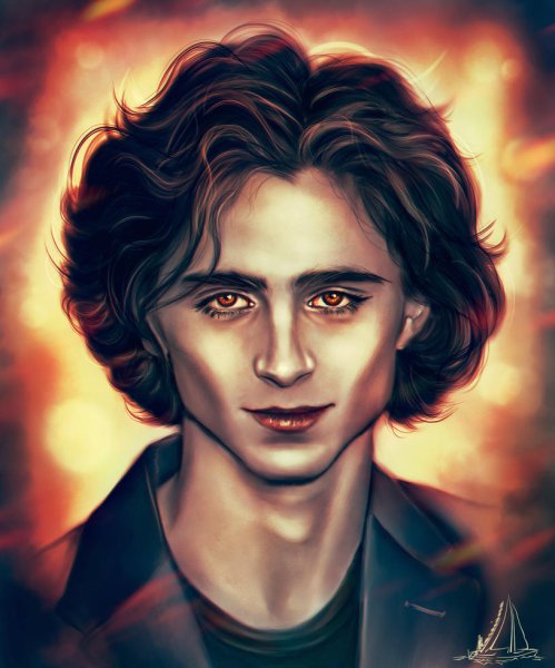 Тимоти Шаламе арты