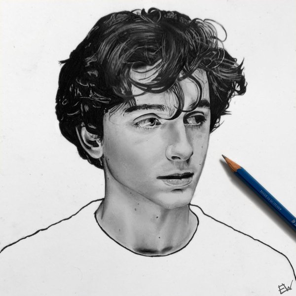 Тимоти Шаламе акварелью