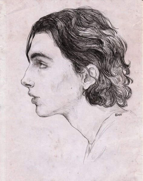 Тимоти Шаламе портрет карандашом