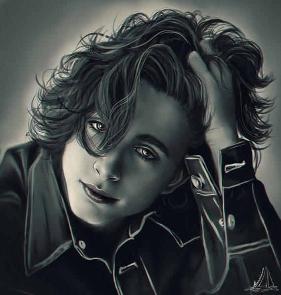 Тимоти Шаламе арт