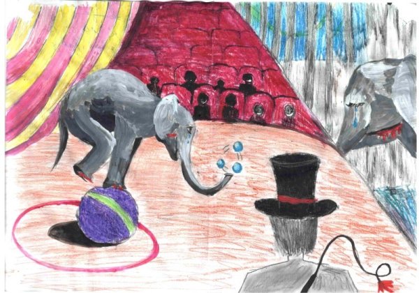 Цирк рисунок