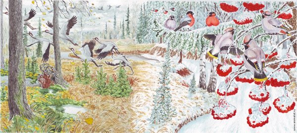 Изо поздняя осень в подготовительной группе