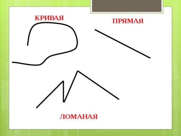 Ломаная кривая Луч отрезок