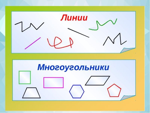 Выдели цветным карандашом звенья ломаной