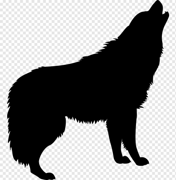 Волк на белом фоне