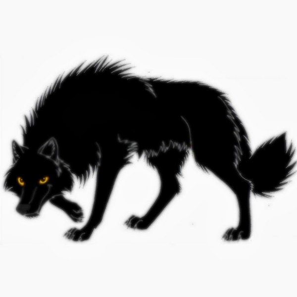 Белый волк на черном фоне арт