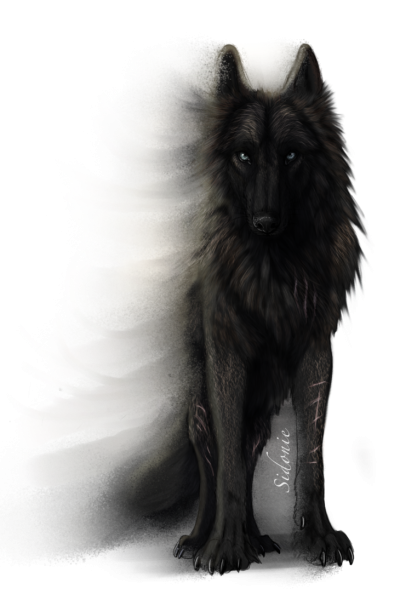 Сириус Блэк черный пес