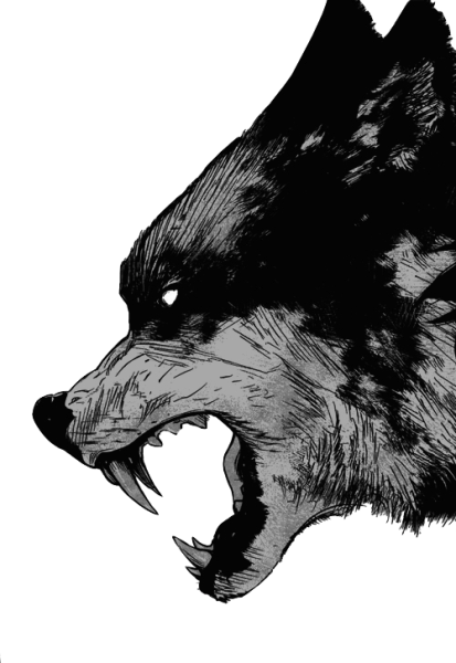 Оскал волка рисунок