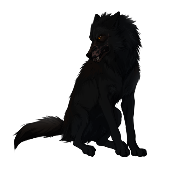 Волк в профиль